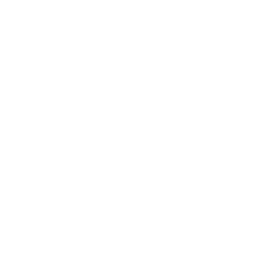 tiktok icon
